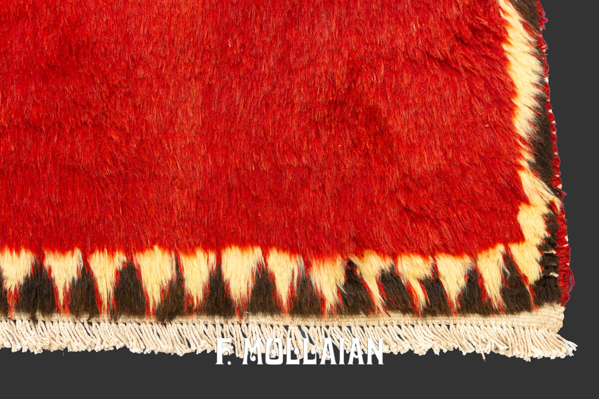 Gabbeh Rug Bakhtiari n°:562364